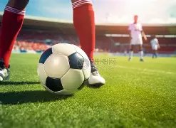 金年会,资讯,金年会官网,金年会,金年会官网,中国金年会,金年会入口