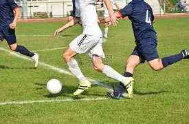 深圳队或外,借外援以充,实本土实力,金年会,金年会官网,中国金年会,金年会入口