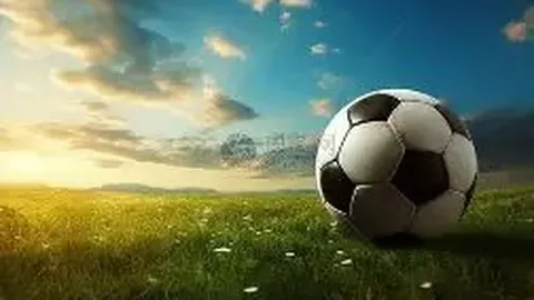 金年会 资讯 125405 c01